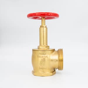 GPM 115 – Válvula Globo Industrial 90º PN 16 2.1/2” 11BSP x 5FPP em Latão com Volante de 100mm