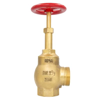 GPM 144 - Válvula Globo Industrial 250 LBS Crane 90º 2.1/2 8 NPT X 7.1/2 NH